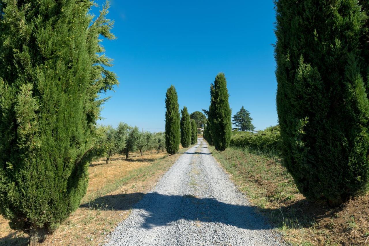 Willa Il Raggio Di Sole Bagnoregio Zewnętrze zdjęcie
